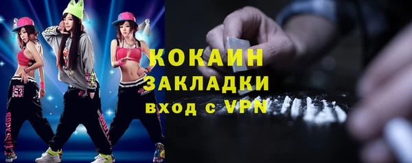 молекула духа Пестово