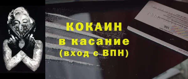молекула духа Пестово