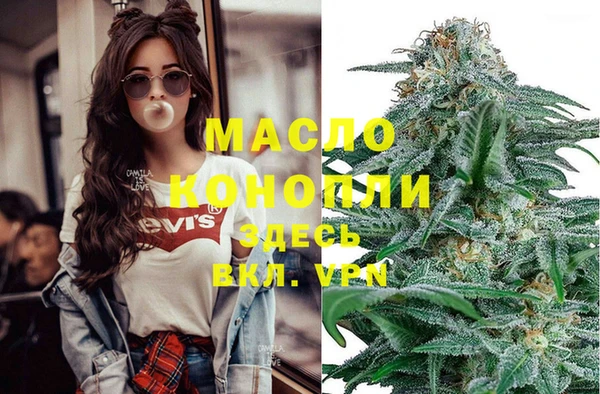 молекула духа Пестово
