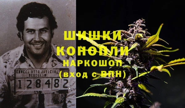 молекула духа Пестово