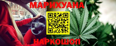 сатива Заводоуковск