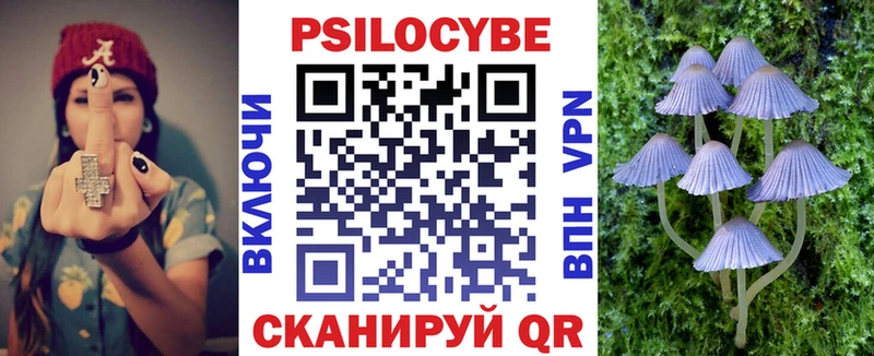 закладка  Курчатов  Псилоцибиновые грибы прущие грибы 