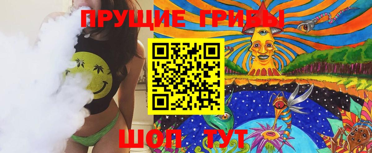 Галлюциногенные грибы Cubensis Курчатов