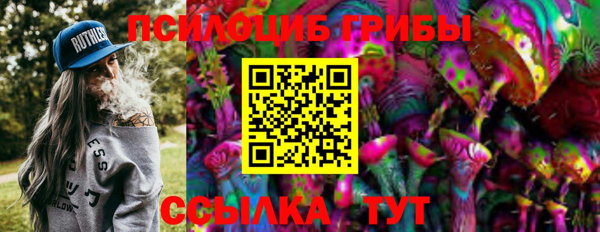 Псилоцибиновые грибы Psilocybine cubensis Курчатов