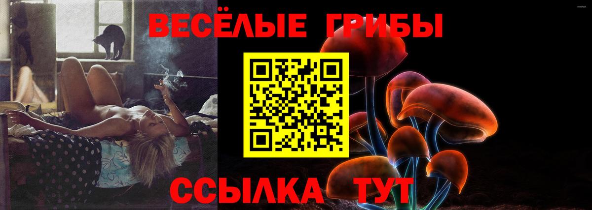 где купить наркоту  Курчатов  Галлюциногенные грибы Magic Shrooms  Псилоцибиновые грибы прущие грибы 