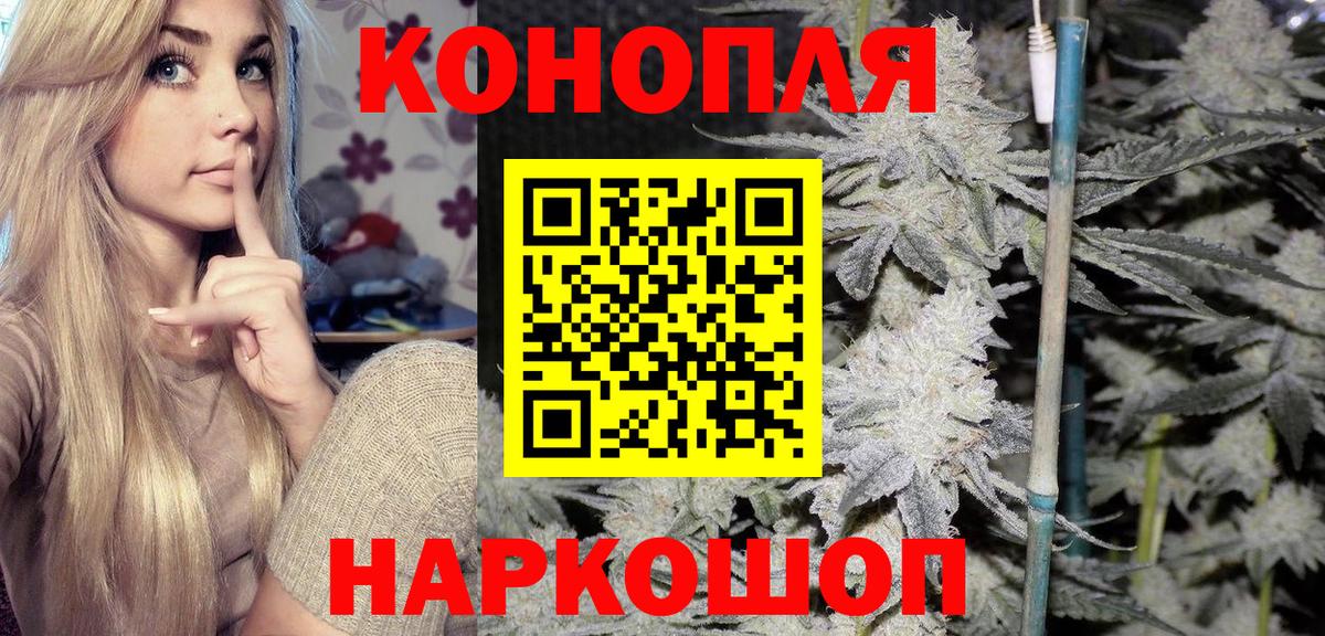 МАРИХУАНА план  МАРИХУАНА Bruce Banner  Курчатов  Конопля SATIVA & INDICA  Вход с VPN 